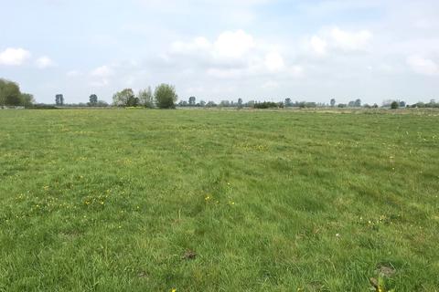 Farm land for sale - Lot C - Middle Drove, Glastonbury, BA6