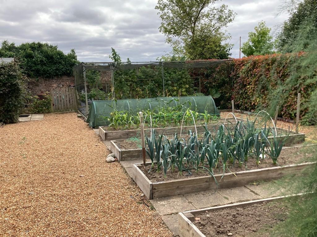 Vegetable Garden