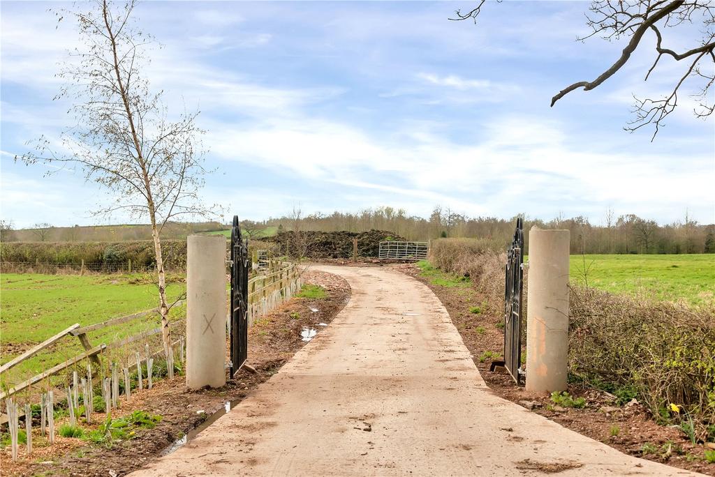 Driveway