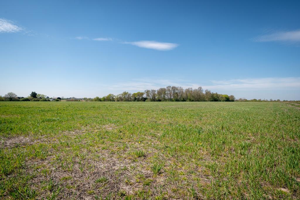Land at Elmstead Lodge Farm