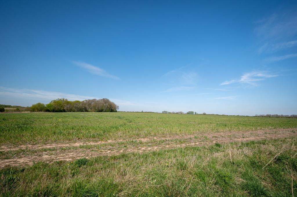 Land at Elmstead Lodge Farm