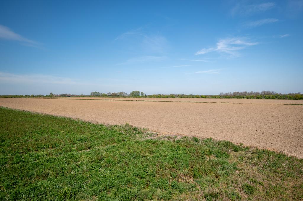 Land at Elmstead Lodge Farm