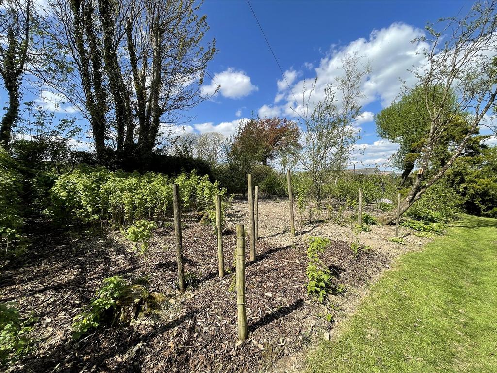 Vegetable Plots 2