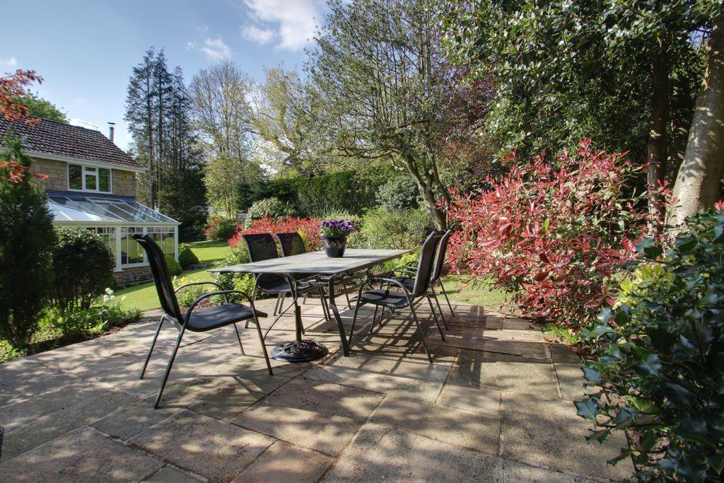 My favourite view of the back garden.