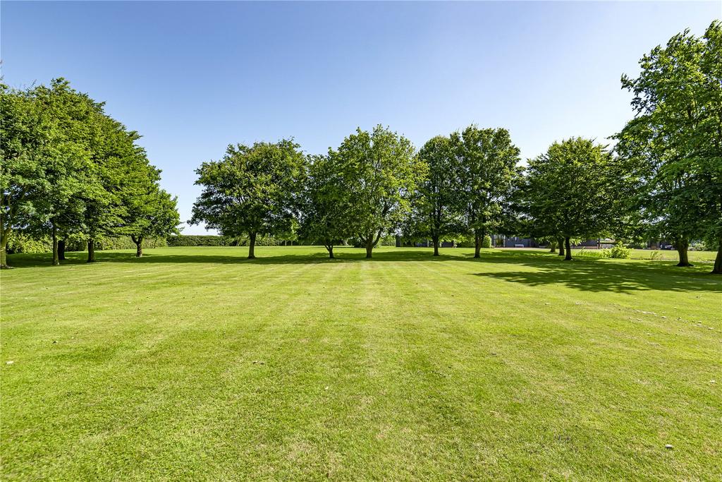 Grounds