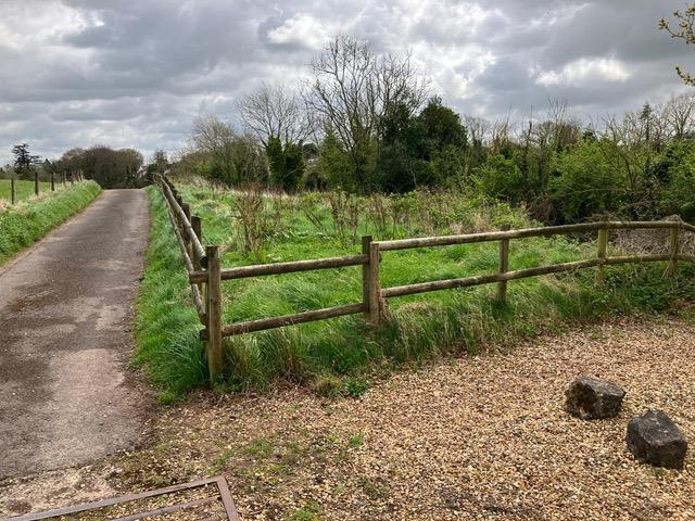 Chew magna.jpeg