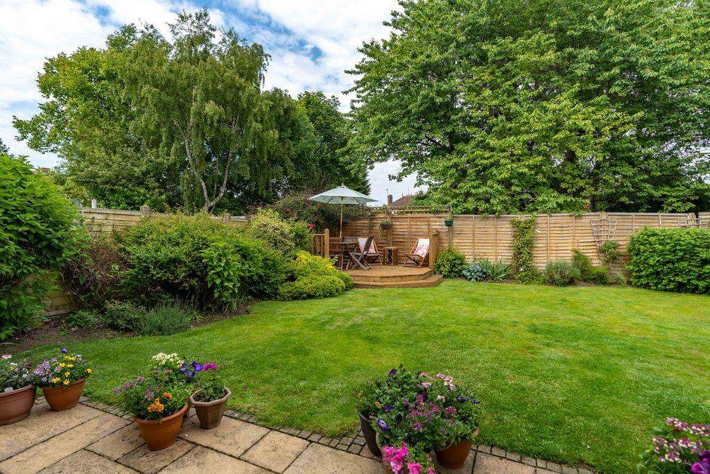 Garden at Back