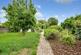 Garden at Back
