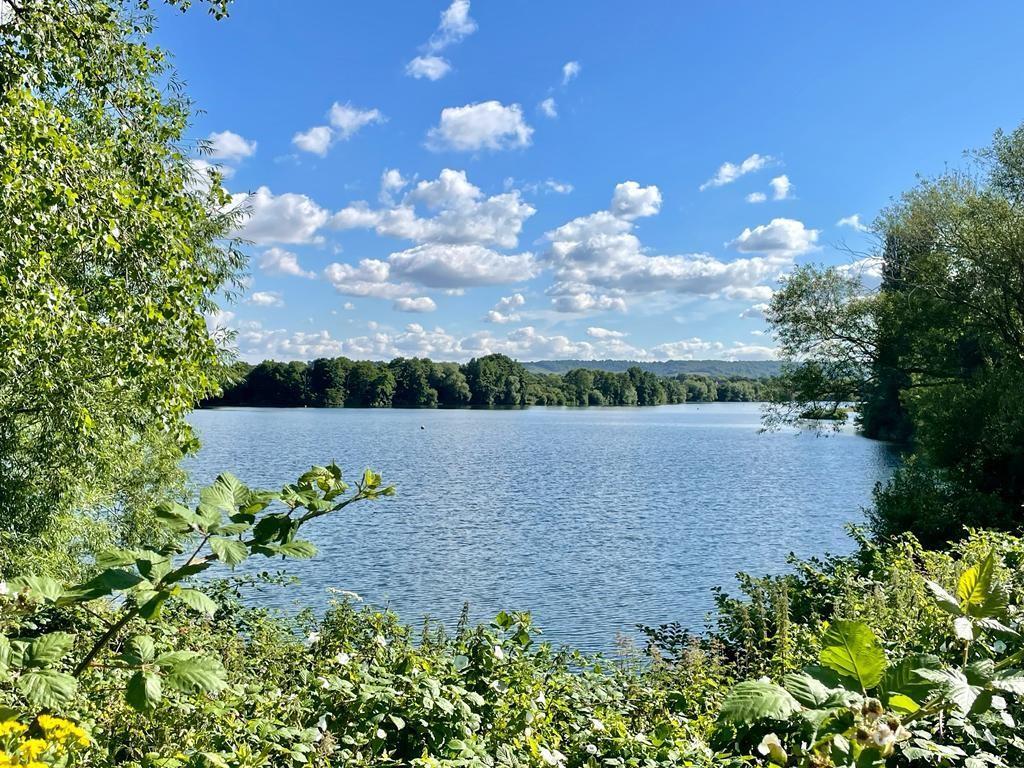 CHIPSTEAD LAKE.jpg