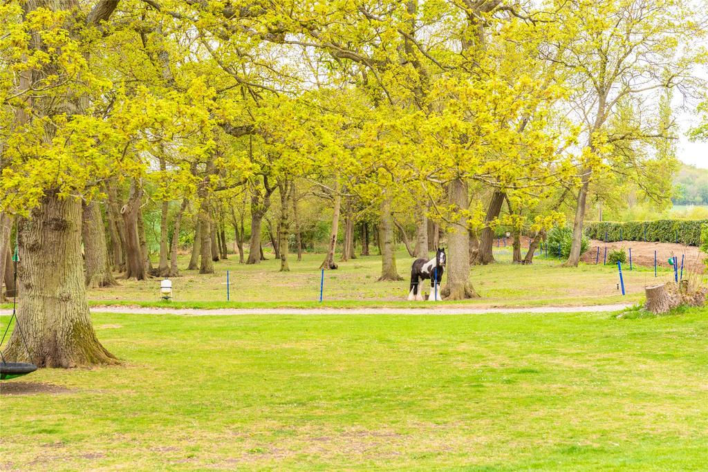 Grounds