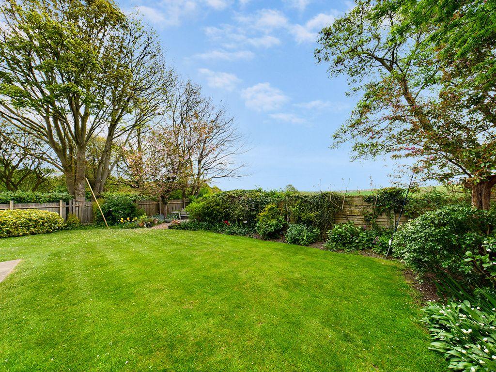 Garden at Back