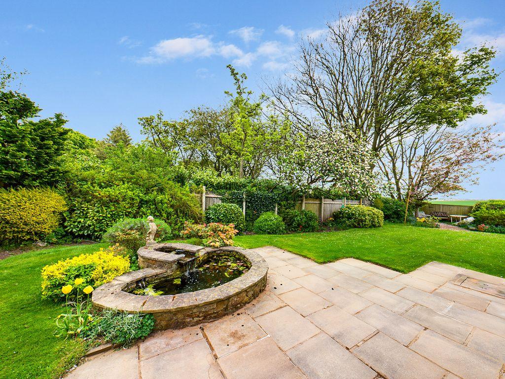 Garden at Back