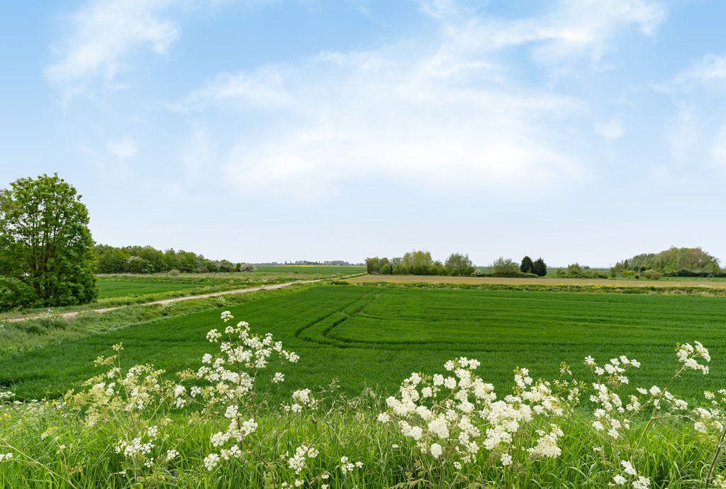 View from Property at Front