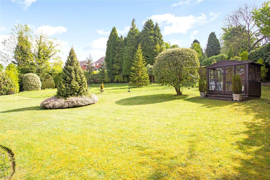 Sunny Patch Garden
