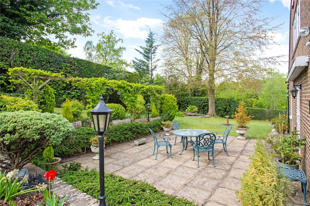 The Terrace