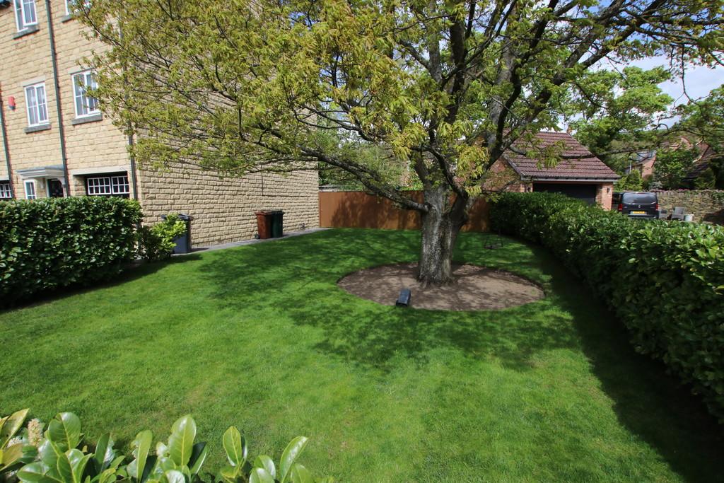 Side Garden