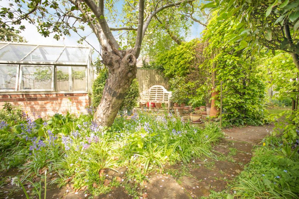 Vegetable Patch