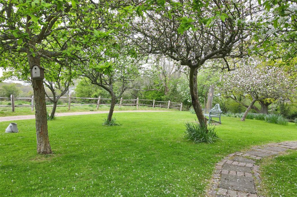 Orchard