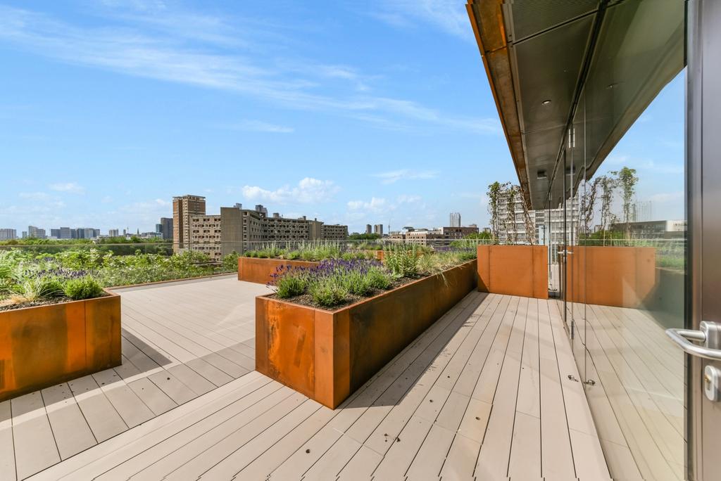 Communal Terrace