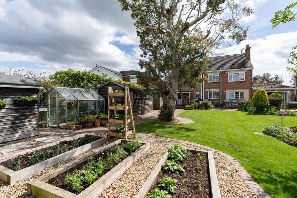 Garden at Back