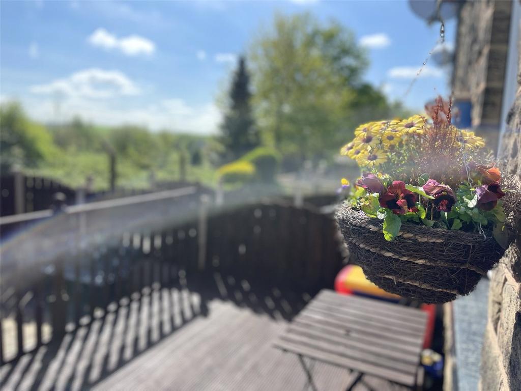 Sunny Days