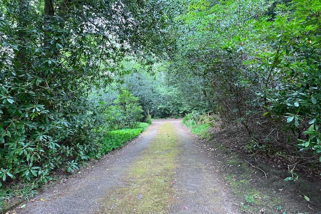 External Lane