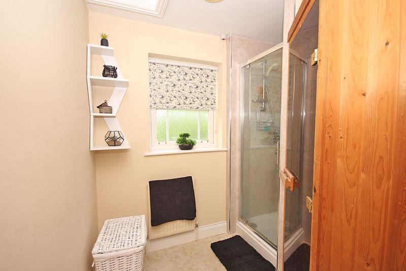 Sauna-shower room