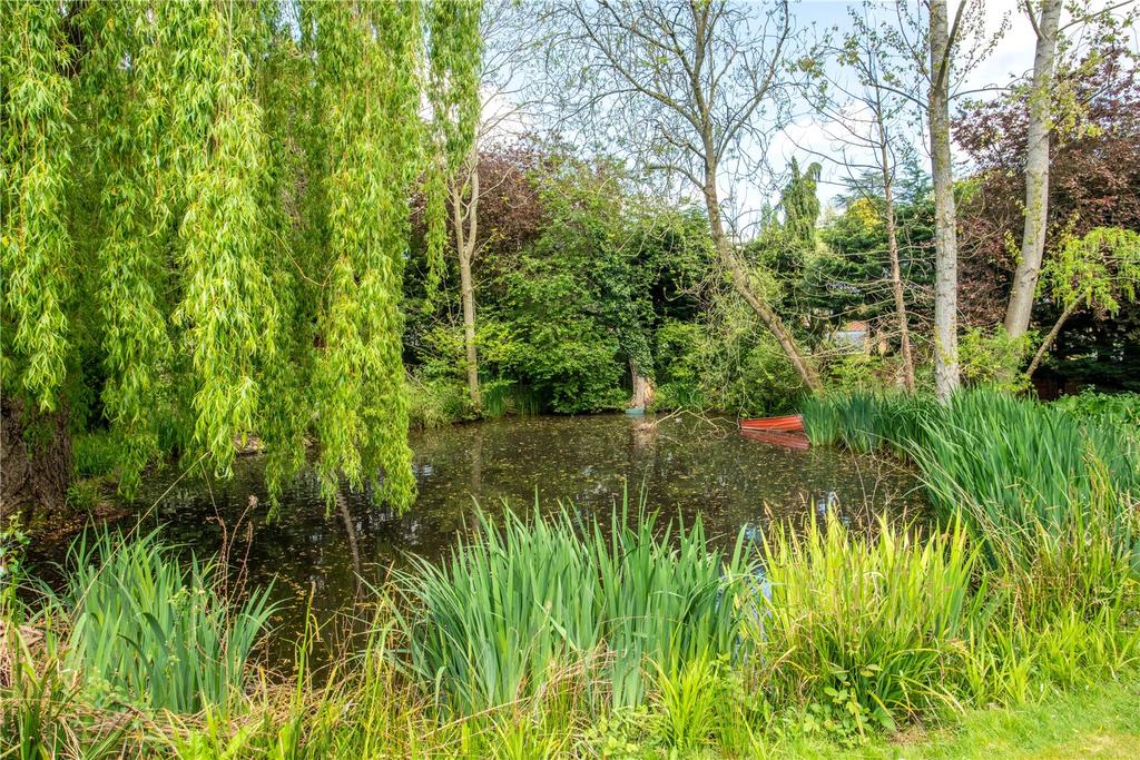 Pond