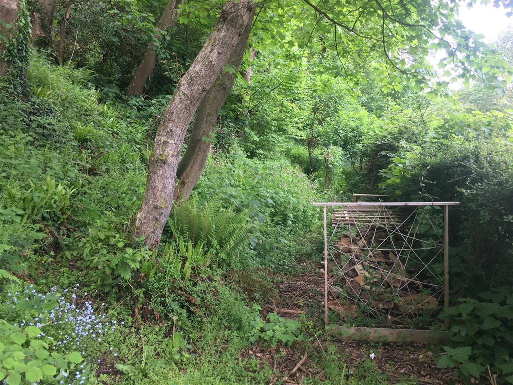 Braunton Farm land for sale £25,000