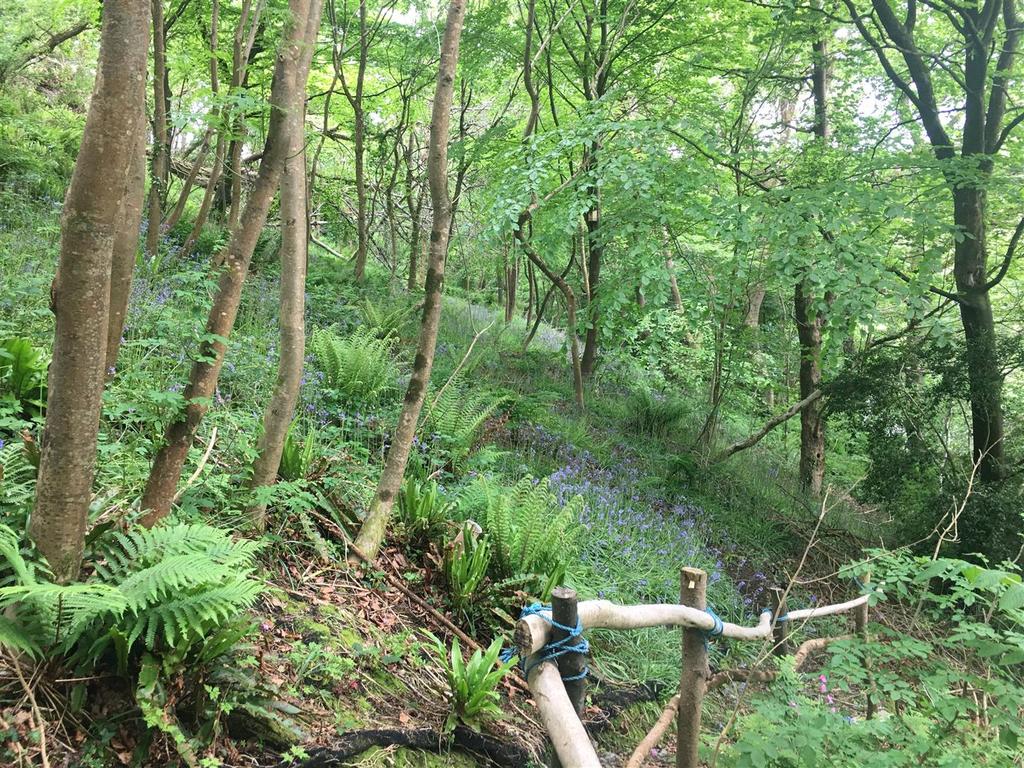 Braunton Farm land for sale £25,000