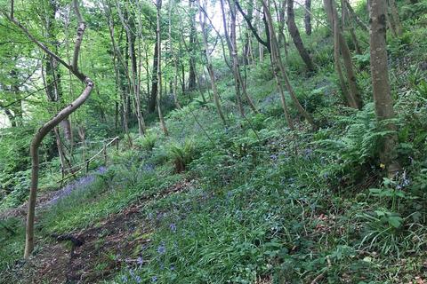 Farm land for sale - Braunton