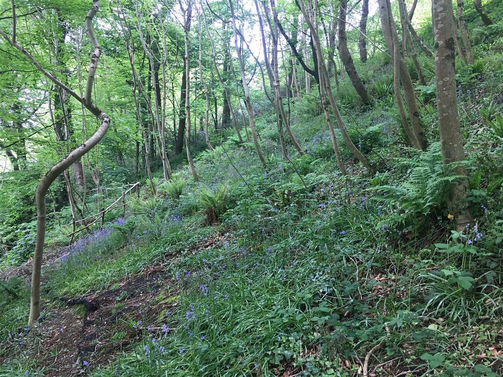 Braunton Farm land for sale £21,500