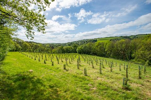 Land for sale - Hurstone Plantation, Waterrow, Taunton, Somerset, TA4