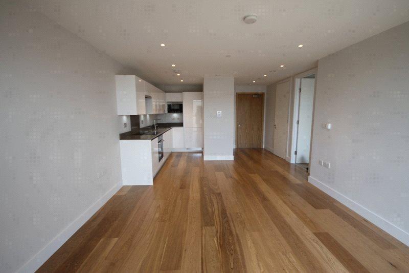 Kitchen/Living Area