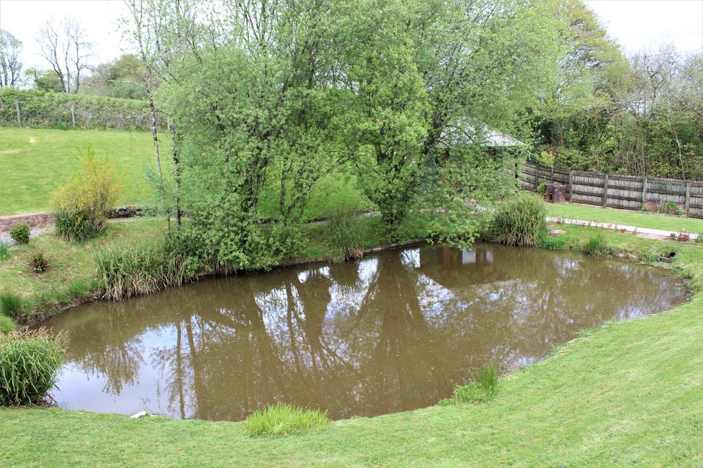 Pond