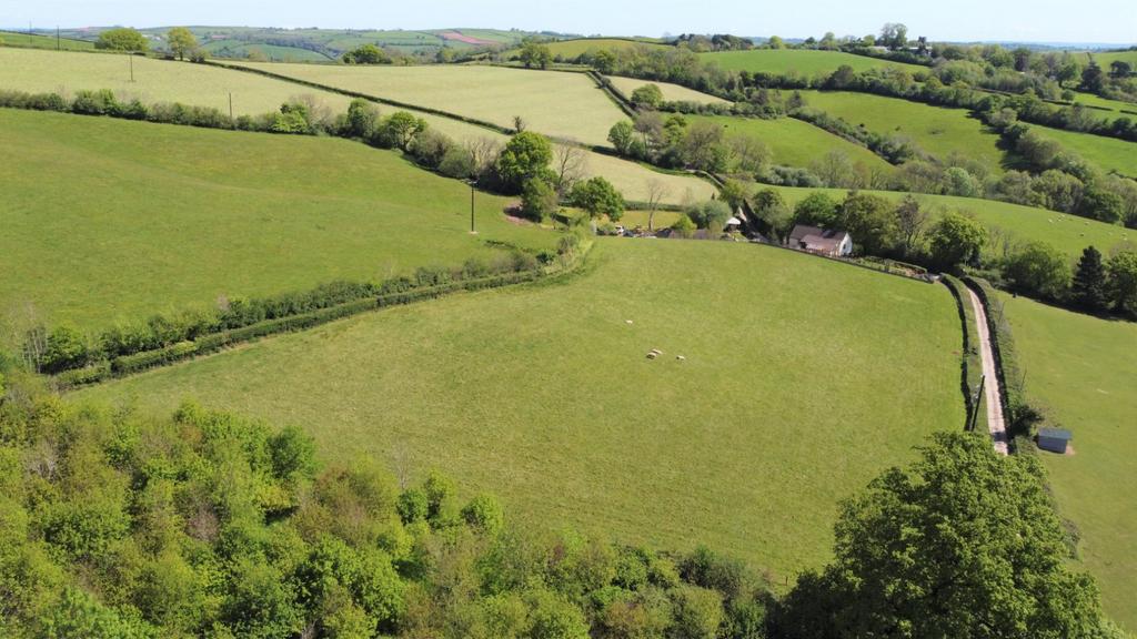 Field