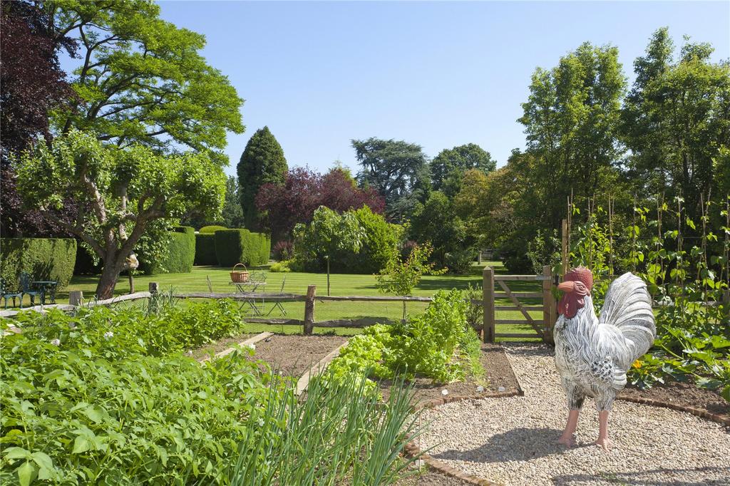 Kitchen Garden