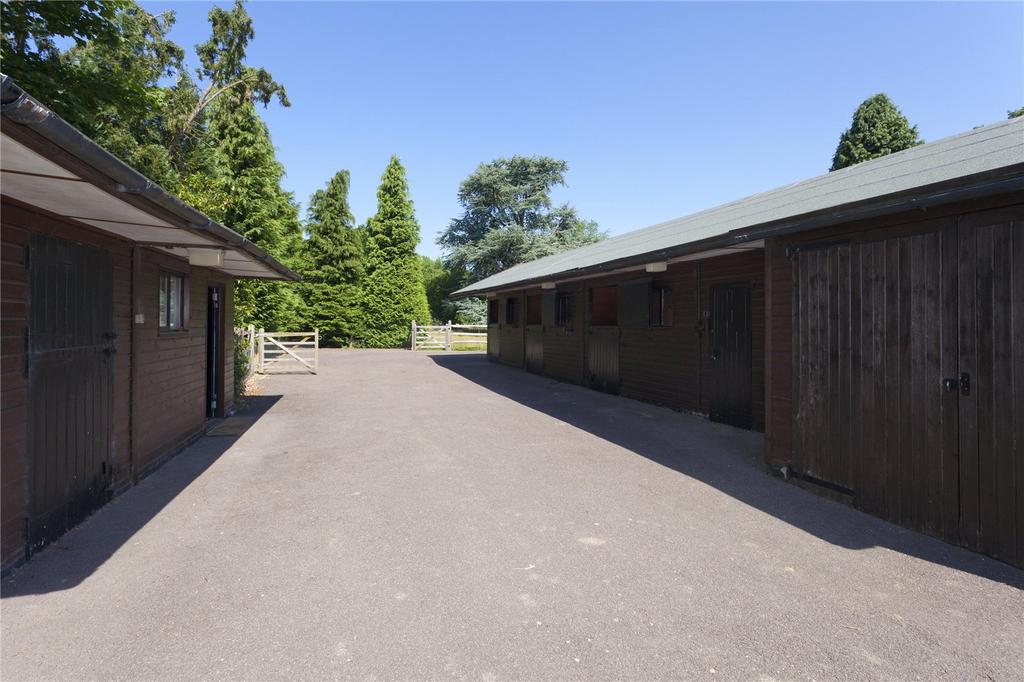 Stables With Pp