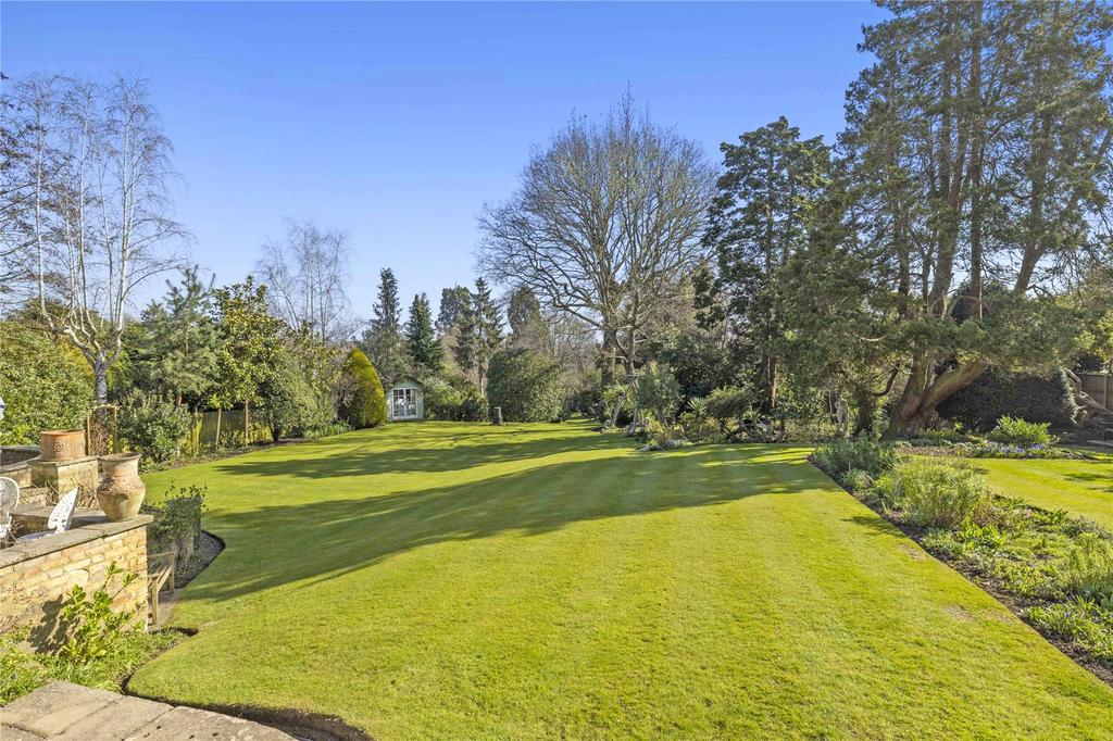 Rear Lawn