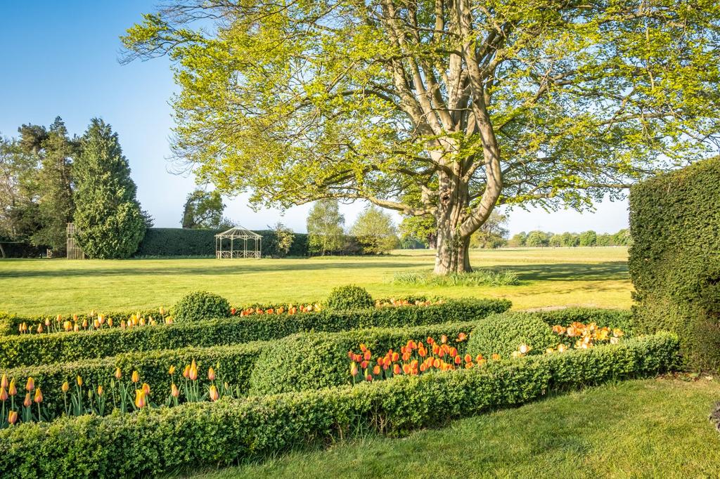 Lawn