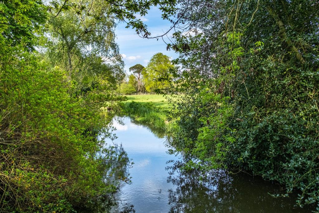 Ockham Mill Stream