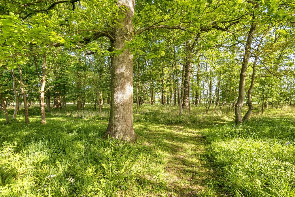 Woodland