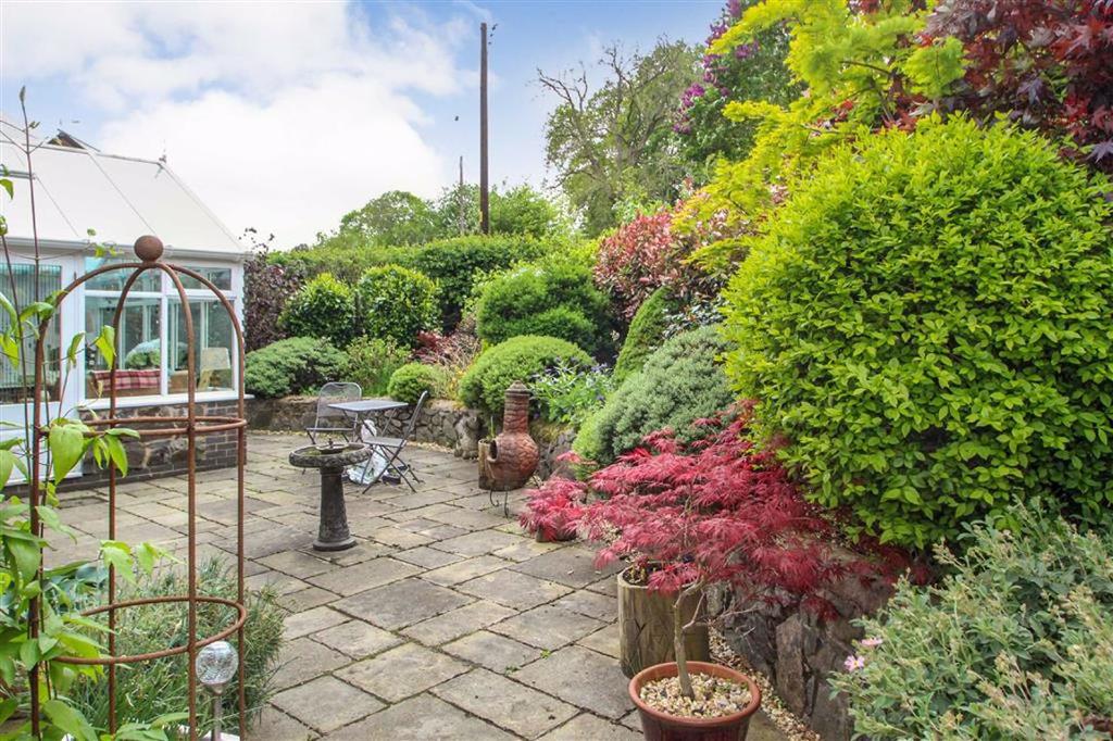 Rear Patio Area