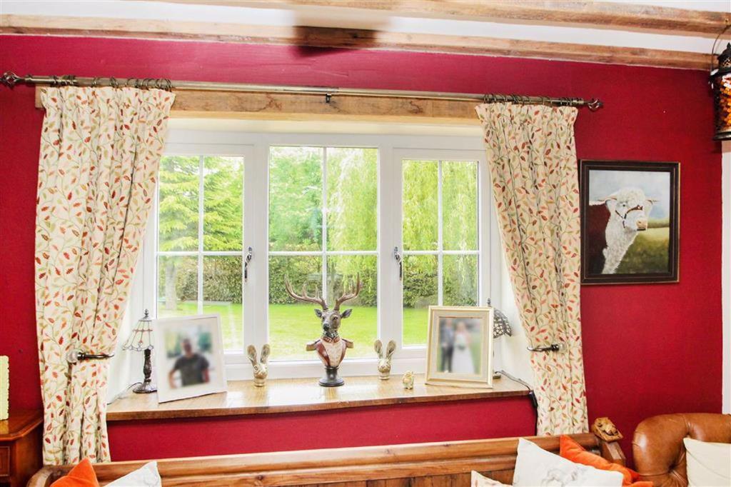 Dining Room Window