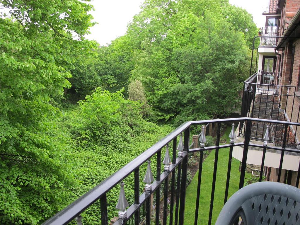 Img 0484.jpg