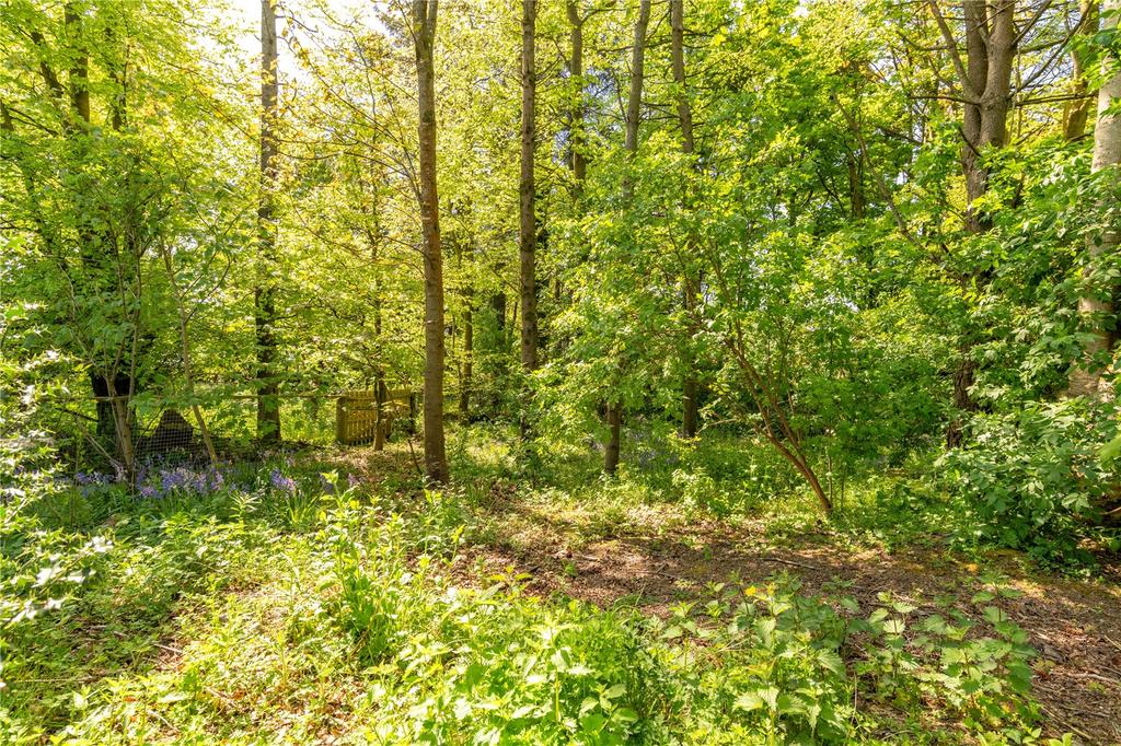Woodlands