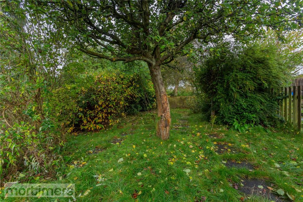 Allotment To The Rea