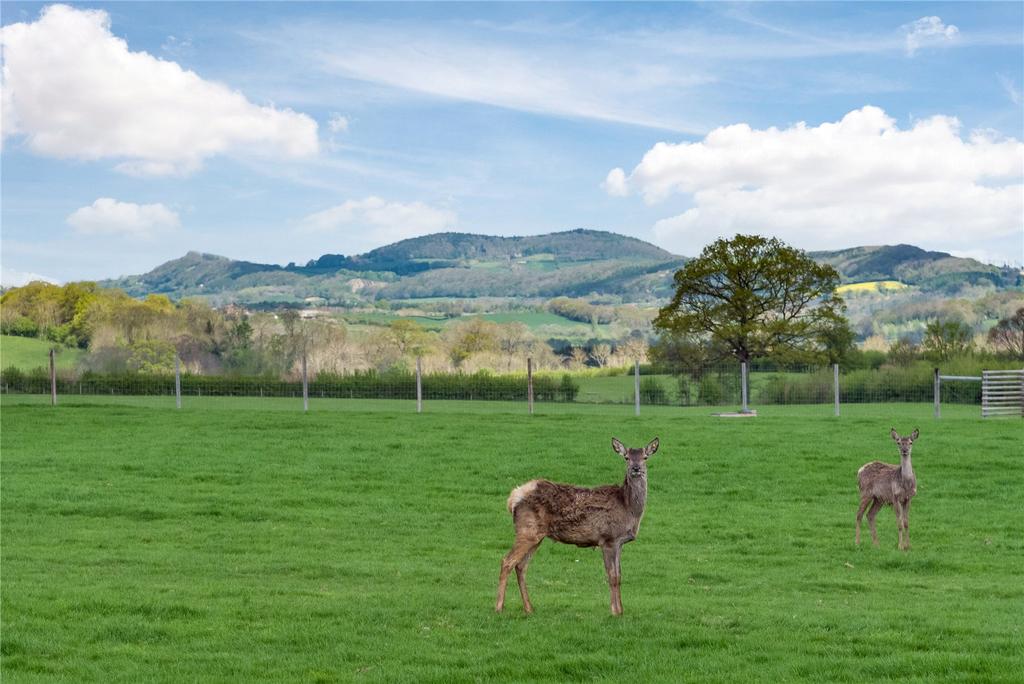 Rural Setting
