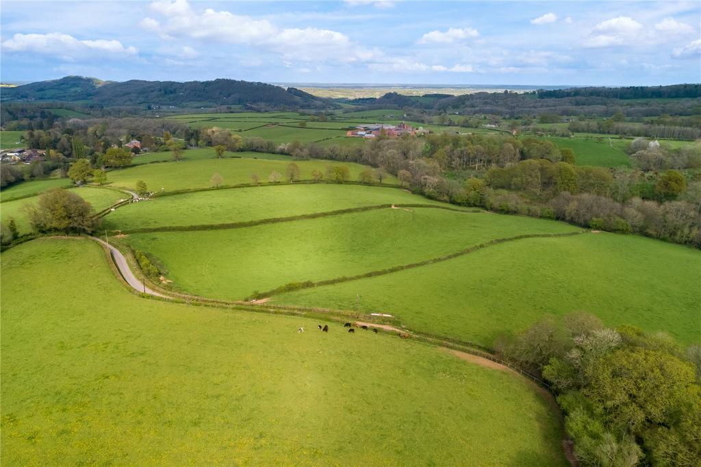 Pastureland