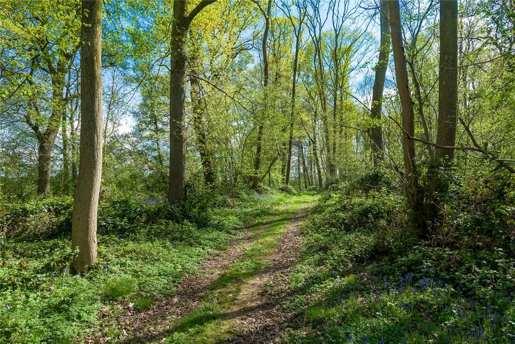 Woodland